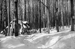 Wildfütterung am Leichenweg