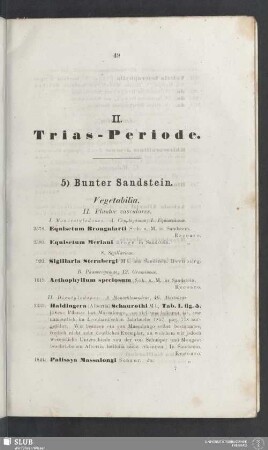 II. Trias-Periode