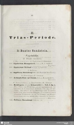 II. Trias-Periode