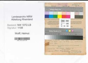 Entnazifizierung Helmut Wolff , geb. 06.11.1907 (Ingenieur)