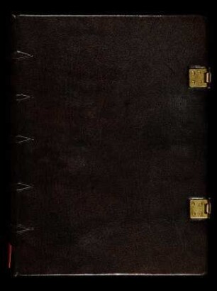 Roman de la Rose : Ms. gall. qu. 80
