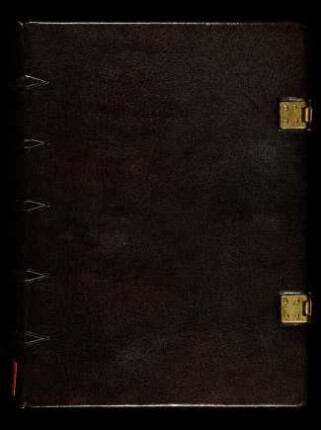 Roman de la Rose : Ms. gall. qu. 80