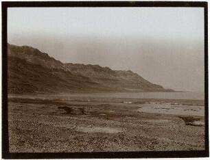 Blick n. 'engidi [endschidi/endjidi] v. S. [en-gedi]