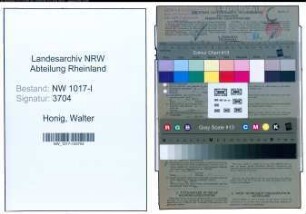 Entnazifizierung Walter Honig , geb. 15.02.1888 (Tiefbauarbeiter)