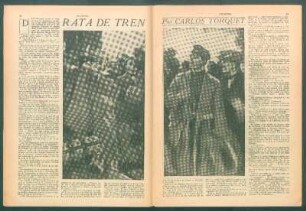Rata de tren