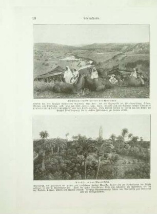 Hochsteppe von Algerien mit Karawane