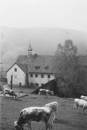 Ebenhof : Gebäude des Dorfes Ebenhof bei Lohberg