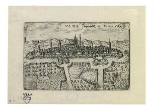 Ulm von Norden. 1590