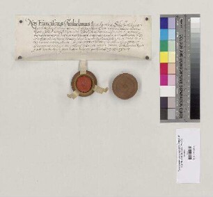 Franz Wilhelm, Bischof von Regensburg, quittiert Abt Placidus [Judmann] von St. Emmeram über zehn Pfund Regensburger Pfennige für die dem Bischof von Regensburg auf päpstliche Weisung jährlich geschuldeten 30 Pfund kleiner Turnosen (Turonensium parvorum). S=A