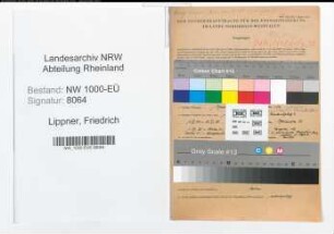 Entnazifizierung Friedrich Lippner, geb. 15.12.1900 (Architekt)