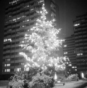 Weihnachtsstimmung.