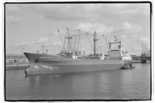 Hinrich Witt (1969), H. Witt, Hamburg
