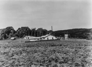 Plantage : Gebäude einer Plantage