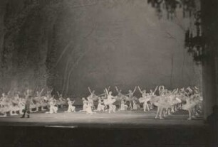 Ballettaufführung. Moskau, Bolschoi-Theater