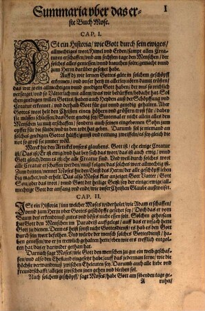 Summaria über die gantze Bibel das alt und newe Testament