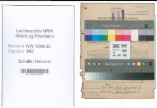 Entnazifizierung Heinrich Schulte , geb. 12.02.1905 (Lehrer)