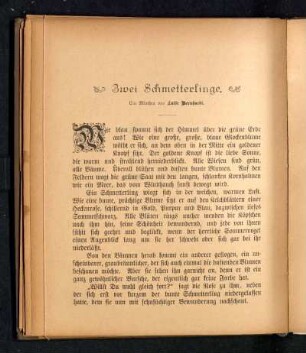 Zwei Schmetterlinge