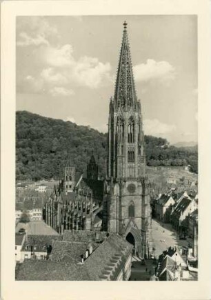 Das Münster in Freiburg
