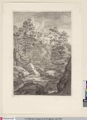 [Waldlandschaft mit Fluss; Landscape with forest and stream]