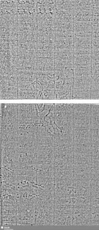 S.23/24+27/28 = Löwe (steigend) mit Schwert / ES