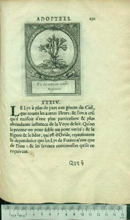 XXXIV. Et tantum cœlo tegitur.