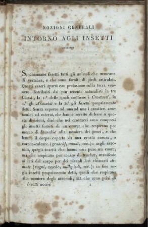 Nozioni Generali Intorno Agli Insetti