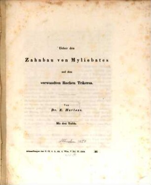 Ueber den Zahnbau von Myliobates und dem verwandten Rochen Trikeras
