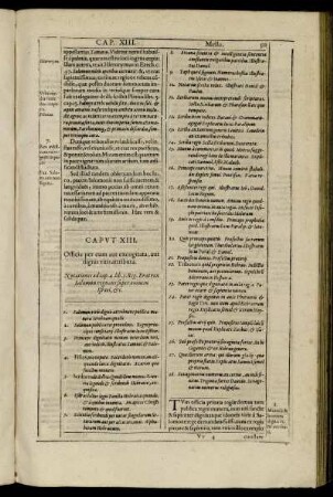 Caput XIII. - Caput XIV.