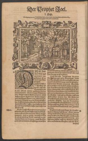 Der Prophet Joel.