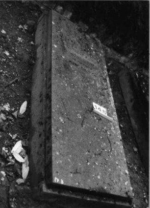Grabstein 148 (Index: 100091466) Material: Granit Zustand: gut Maße HxBxT: 200x80x40 cm Beschreibung: Grabplatte auf erhöhter Grabeinfassung: Grabstein 148