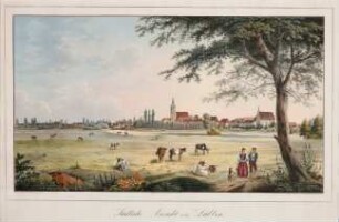 Baron E. von Seckendorff - Südliche Ansicht Lübben