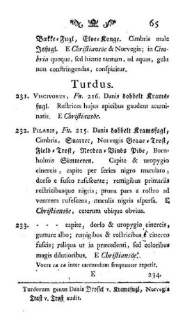 Turdus