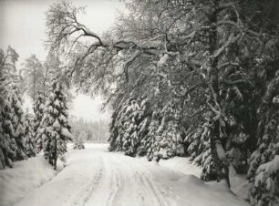 Waldstrasse zwischen Seiffen und Deutscheinsiedel in tiefem Schnee