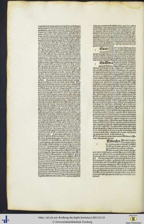 Circa materiam testium per dominum Baldum de Perusio