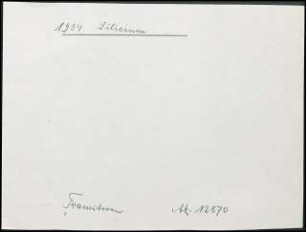 Silicium