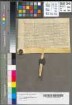 Rotger Koller, Hans Klinckhamer, Heinemann (Heyneman) auf dem Kirchhof (op dem Kerckhoue) und Hans Huss, Vormünder der Kirche zu Schönholthausen (Schonholthusen) erklären, daß, nachdem Hermann von Schnellenberg (Snellen-) eine jährliche Rente von einem Malter Hafter (malder havern) zugunsten der Marien-Kirche aus dem Gut zu Sange (2 km südwestlich von Finnentrop) abgelöst hat, der dazugehörige Hauptbrief seine Rechtskraft verloren hat. Diese Erklärung ist nötig, weil der Hauptbrief verloren gegangen ist und gilt auch, falls dieser wiedergefunden wird. Des weiteren erklären die Vormünder, daß sie seinerzeit von den Brüdern Hunolt und Johann Rump (Rumpe) ein kleines Gut in Schönholthausen genannt der kleine Hof (dat cleyne hoveken) bei der alten Vikarie gekauft hatten, das die Brüder von dem + Adolf (Aleff) von Schnellenberg erhalten hatten. Mit diesem Verkauf war Hermann von Schnellenberg nicht einverstanden. Die Vormünder bekunden, daß Hermann und seine Erben das Gut, das sie nun mit seiner Zustimmung für die Marien-Kirche gekauft haben, zurückkaufen können und daß sie ein Vorkaufsrecht haben. Die Vormünder kündigen die Besiegelung mit dem Siegel der Kirche zu Schönholthausen an. (op sent Peters dach ad cathedram).