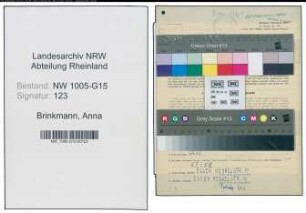 Entnazifizierung Anna Brinkmann , geb. 06.11.1903 (Kauffrau)