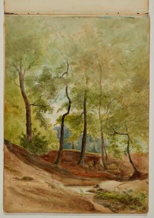 Waldweg