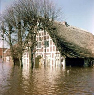 Sturmflut Hamburg 1962. Überflutetes Gehöft