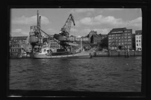 Carola (1951), Ahlmann