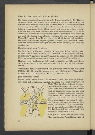 Dem Brauen geht das Mälzen voraus