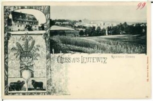 Leutewitz