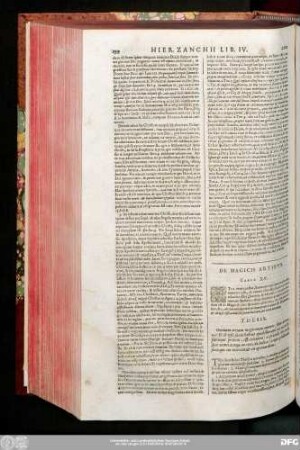 De Magicis Artibus. Caput XV.