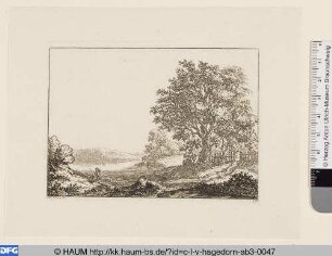 Landschaft mit Wanderer
