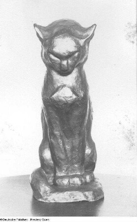 Katze