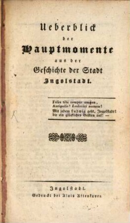 Überblick der Hauptmomente aus der Geschichte der Stadt Ingolstadt