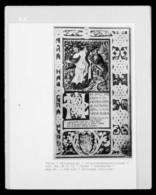 Codex