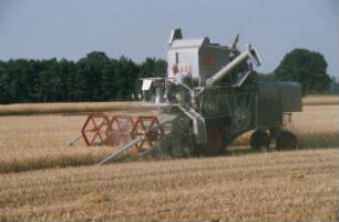 Fotografie: Erntetechnik, Mähdrescher selbstfahrend