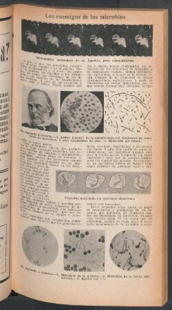 Los enemigos de los microbios