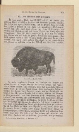 [Lesestücke 41-61]